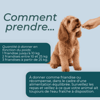 Friandises au NMN pour Chien