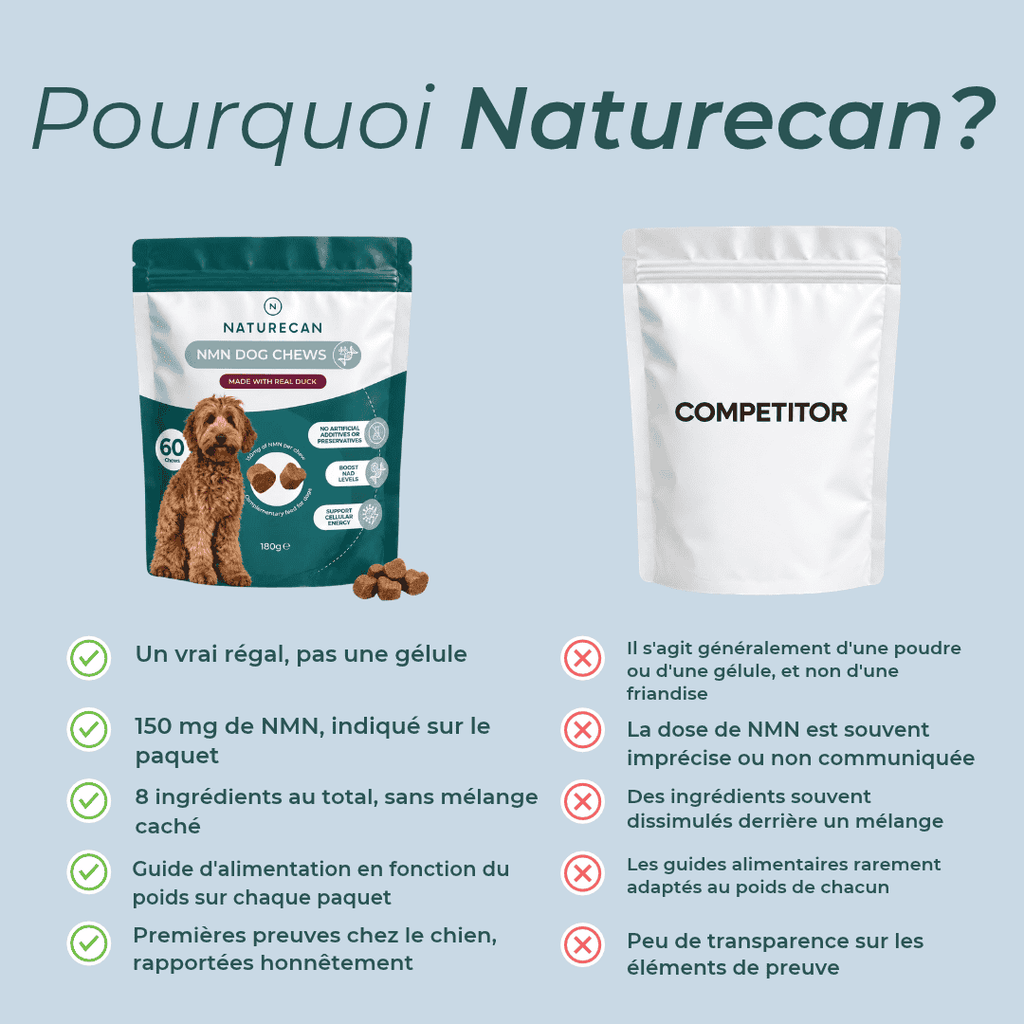Friandises au NMN pour Chien