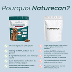 Friandises au NMN pour Chien