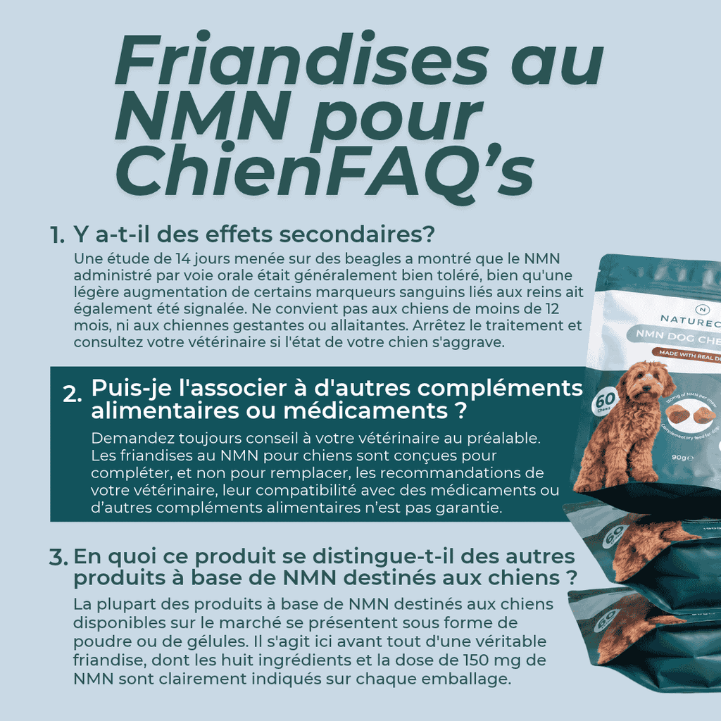 Friandises au NMN pour Chien