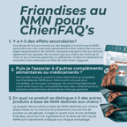 Friandises au NMN pour Chien