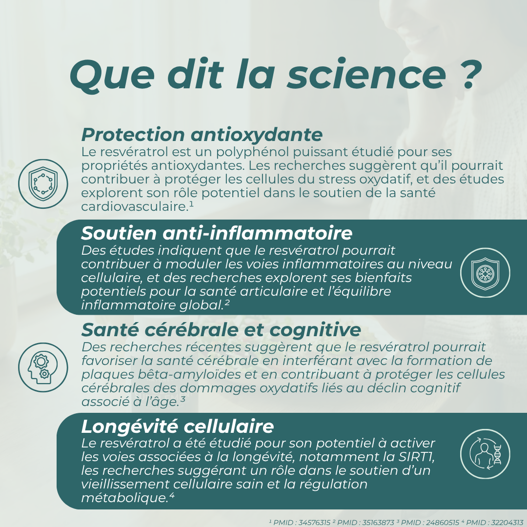 Suppléments de Resvératrol antioxydante