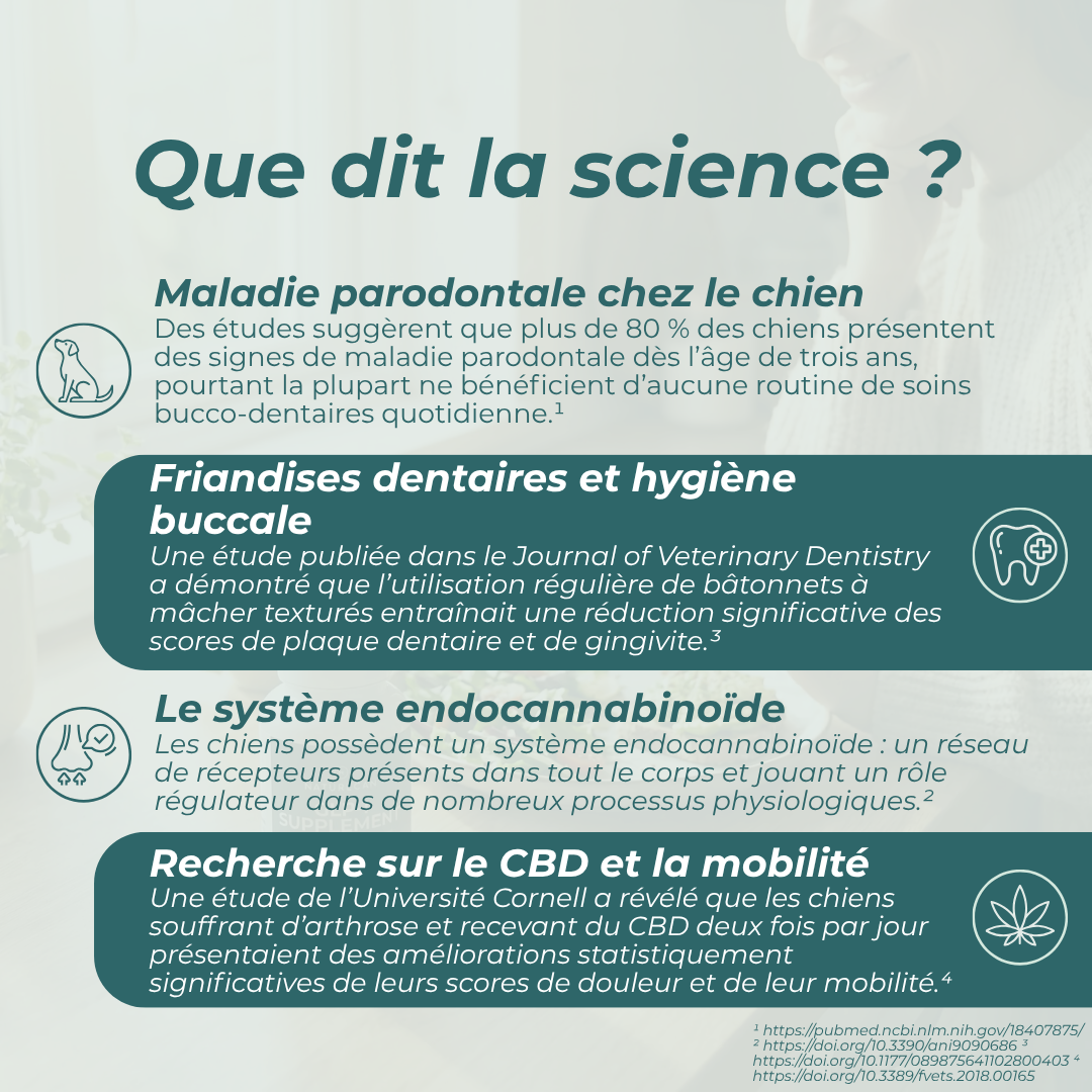 Bâtonnets dentaires au CBD pour chiens avantages