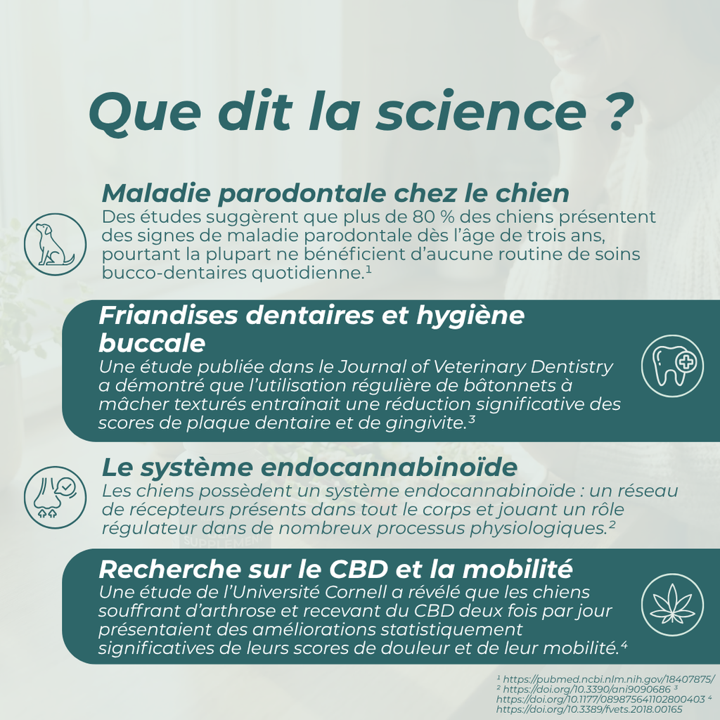 Bâtonnets dentaires au CBD pour chiens avantages