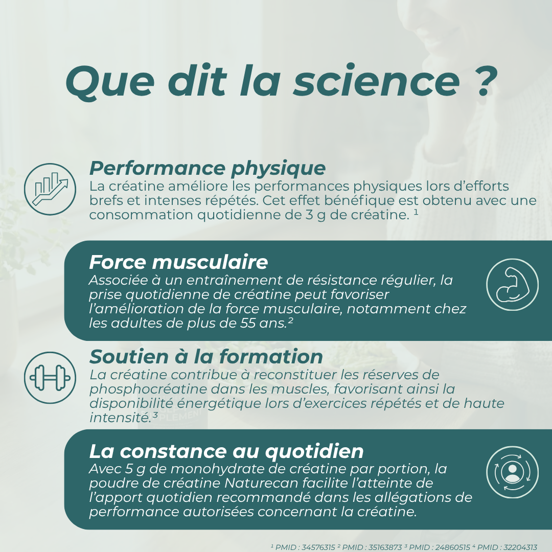 Créatine force musculaire