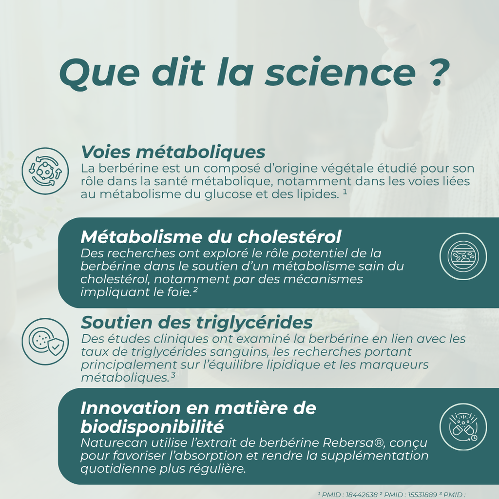 Berbérine pour cholestérol
