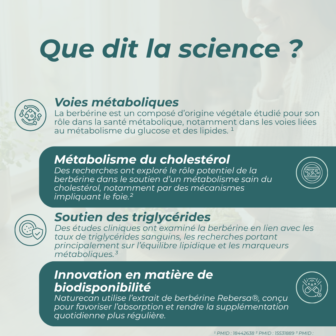 Berbérine pour cholestérol