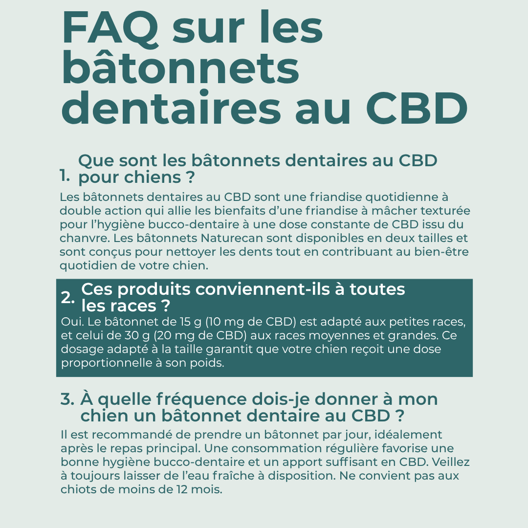Bâtonnets dentaires au CBD avantages