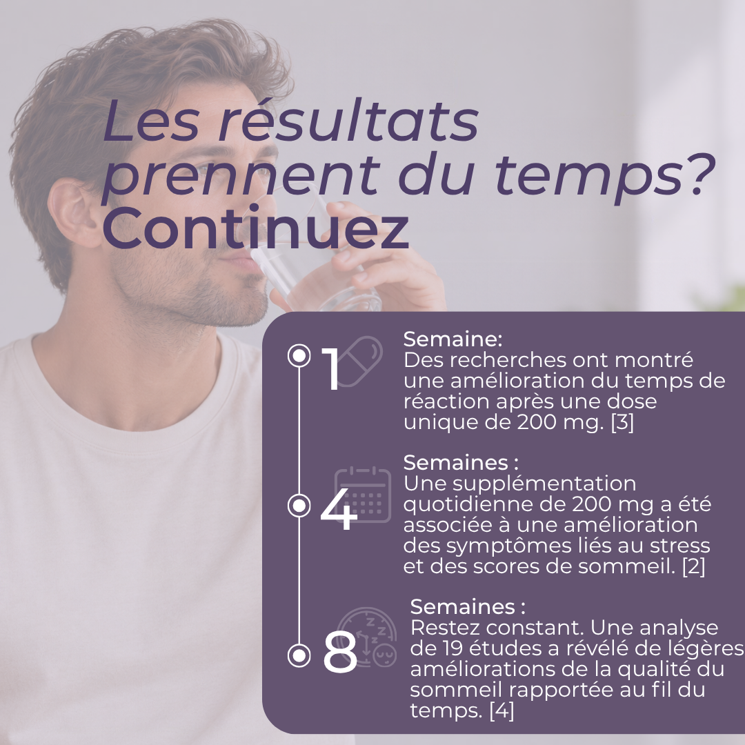 Gélules de L-théanine
