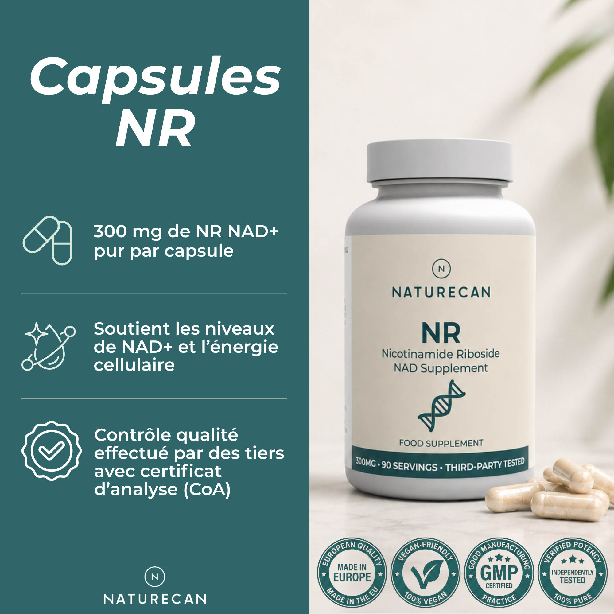 Supplément NAD (NR) Capsules