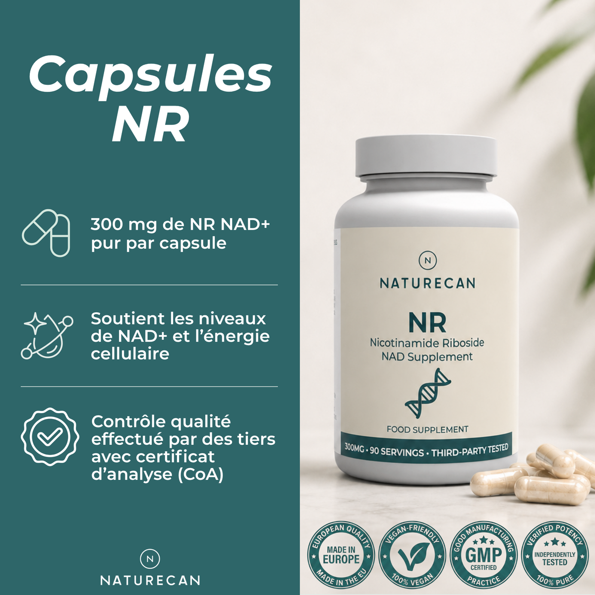 Supplément NAD (NR) Capsules