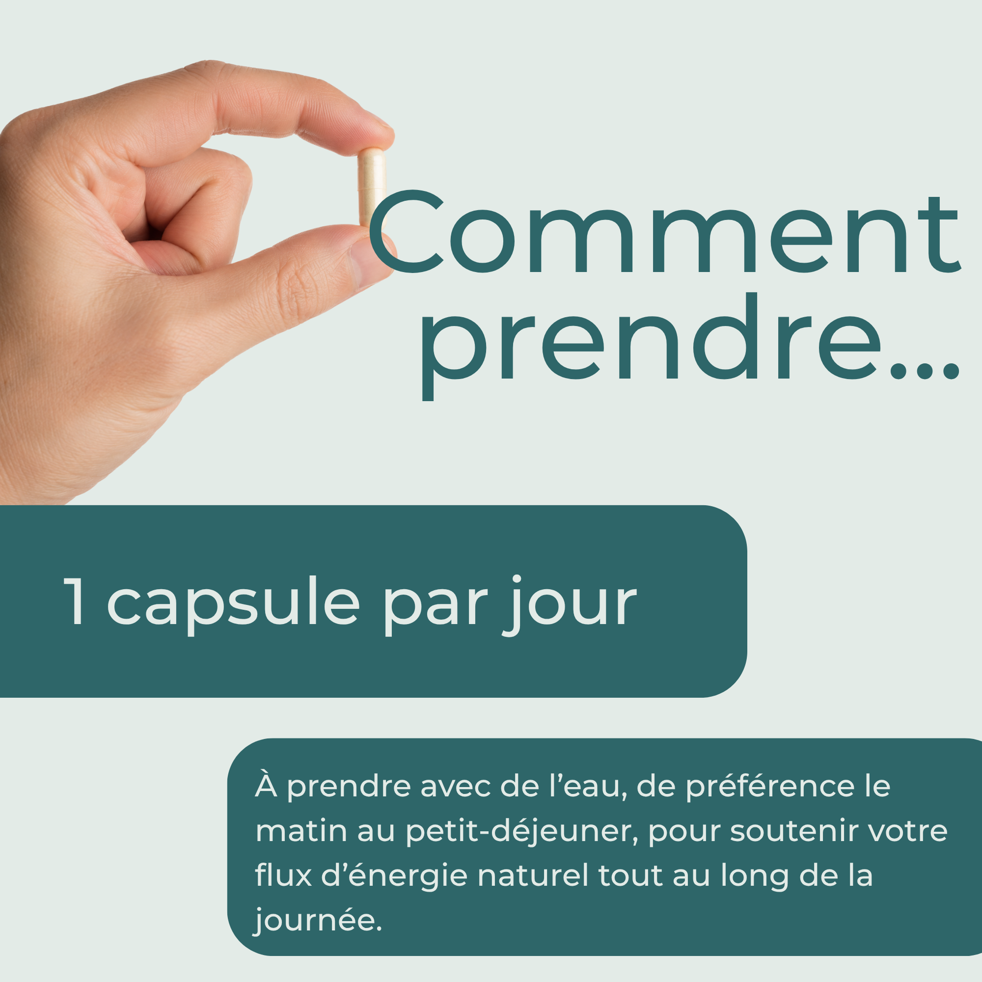 Supplément NAD (NR) Capsules