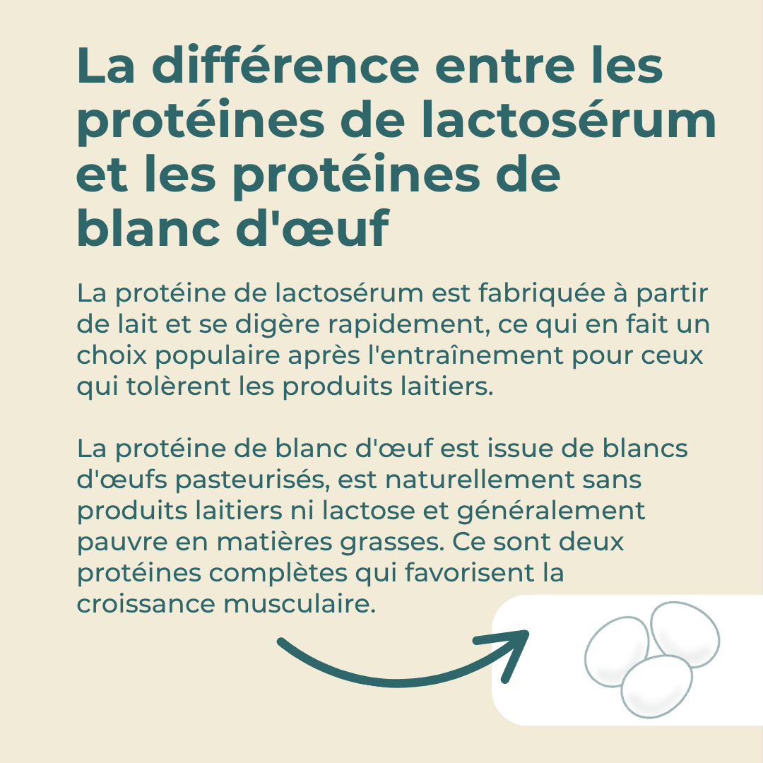 protéines en poudre sans lactose