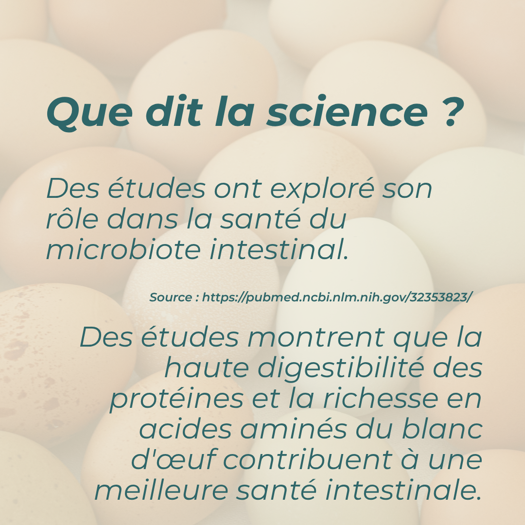 bienfaits des protéines