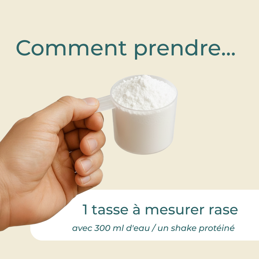 apport quotidien en protéines