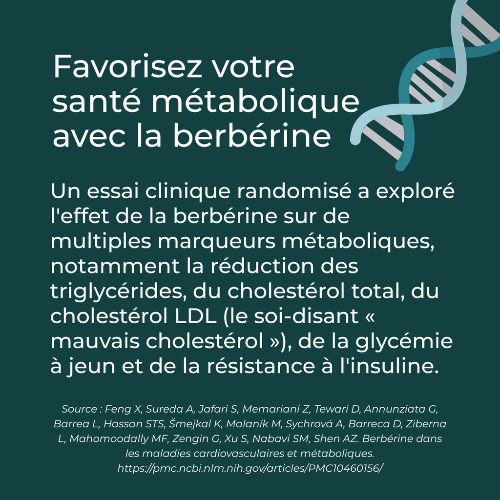 Berbérine santé métabolique