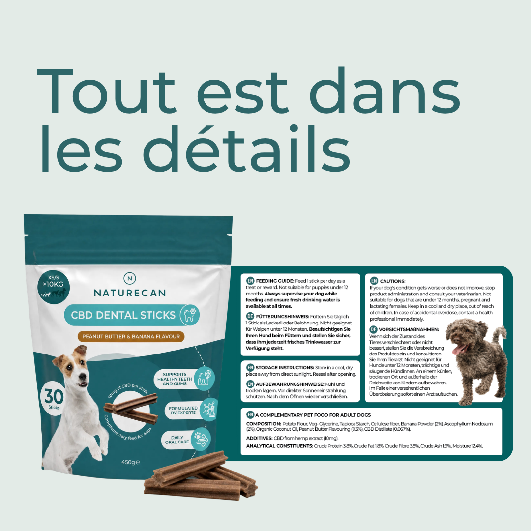 Bâtonnets dentaires 