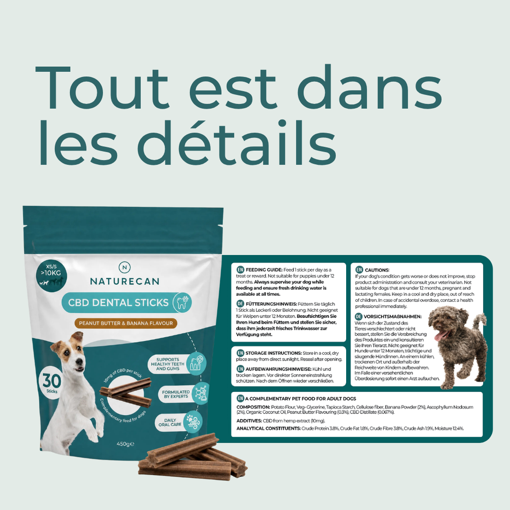 Bâtonnets dentaires 