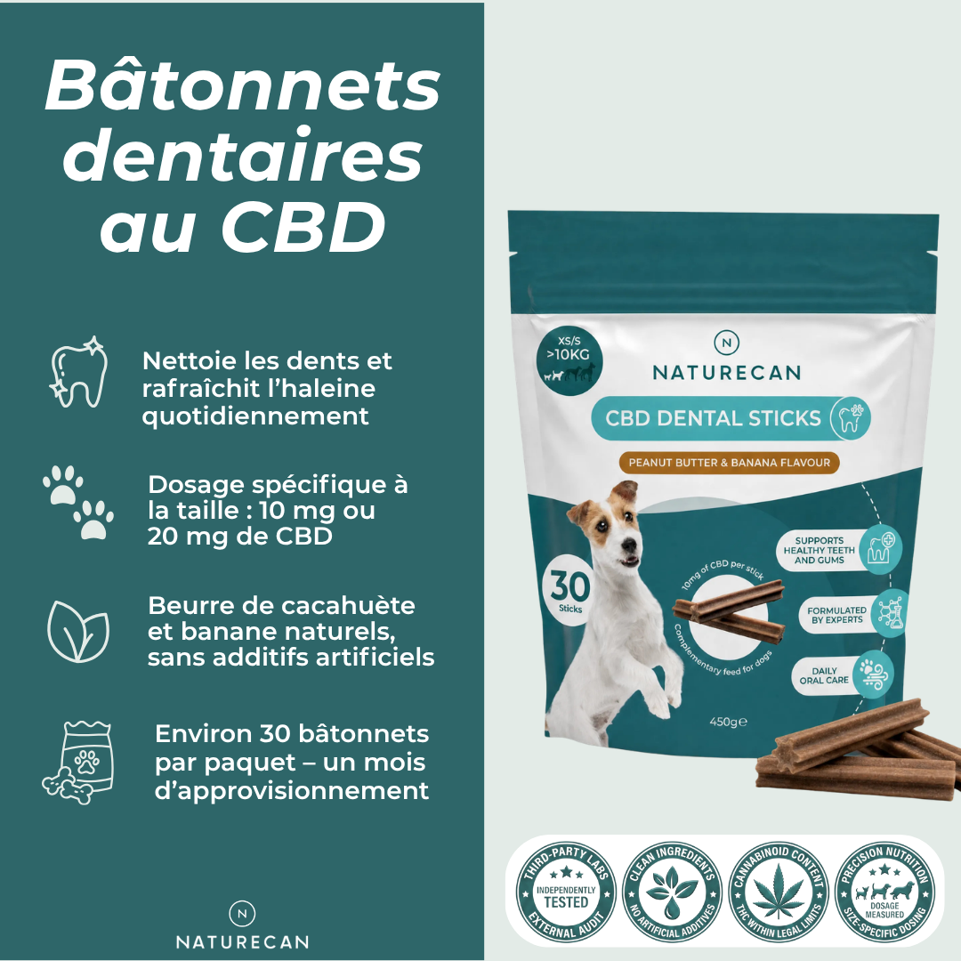 Bâtonnets dentaires au CBD NATURECAN