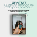 Guide de dosage du CBD pour animaux de compagnie
