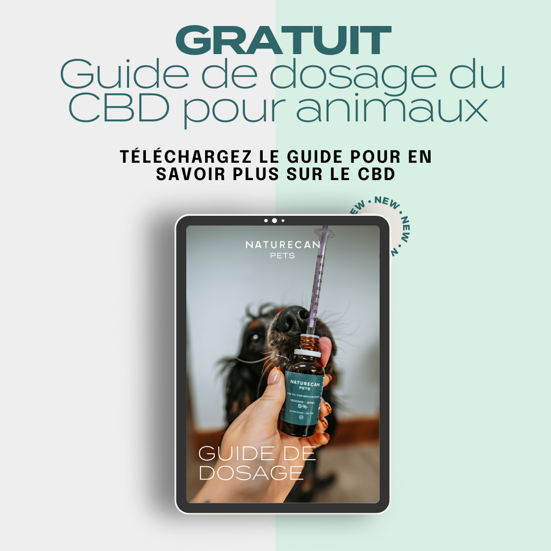 Guide de dosage du CBD pour animaux de compagnie