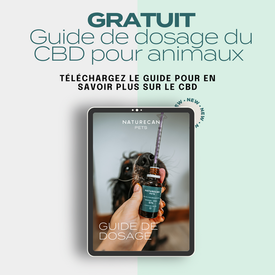 Guide de dosage du CBD pour animaux de compagnie