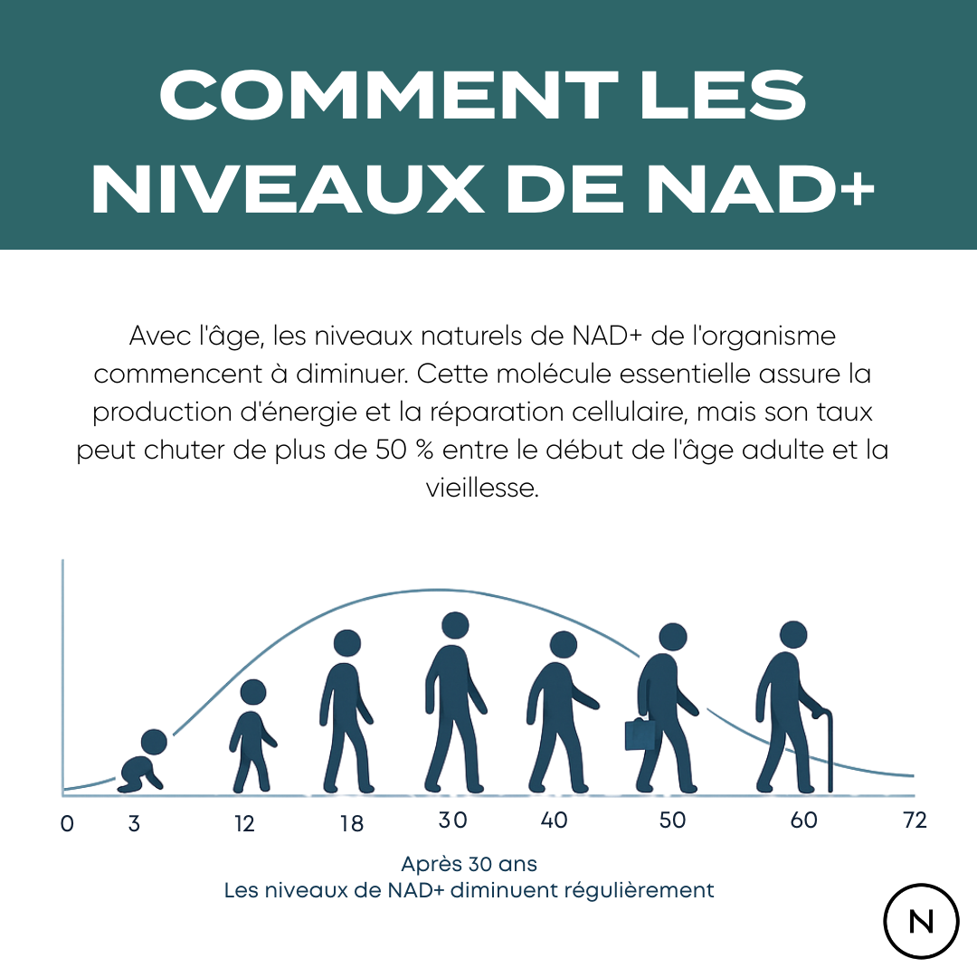 nmn nad