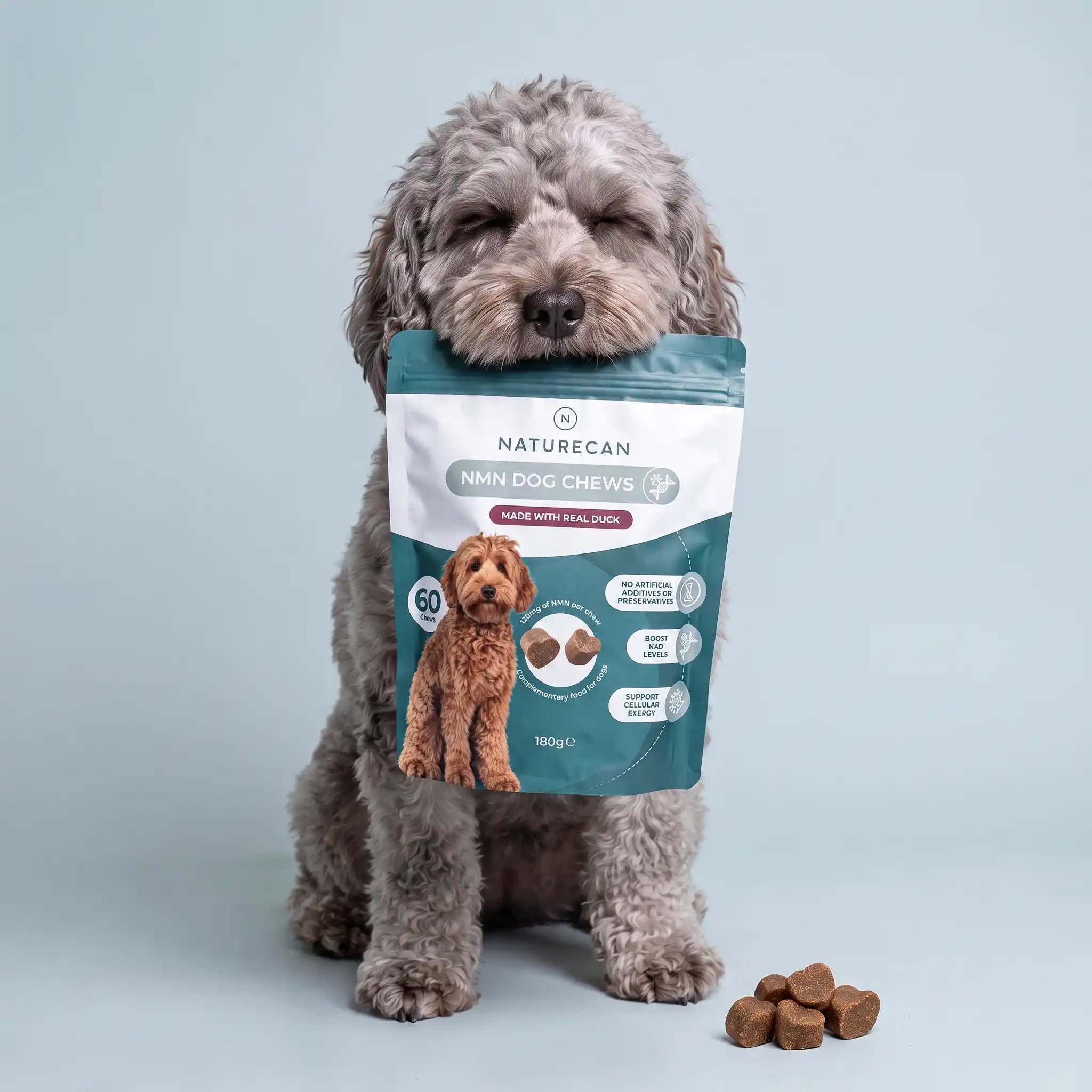 Friandises au NMN pour Chien