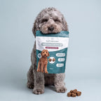 Friandises au NMN pour Chien