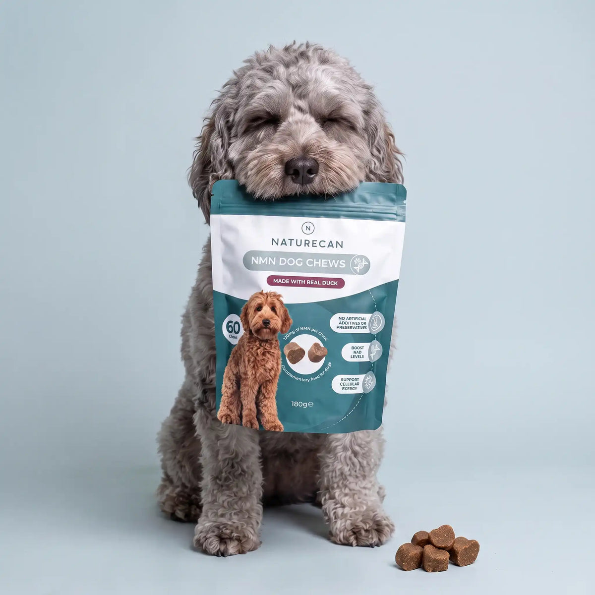 Friandises au NMN pour Chien