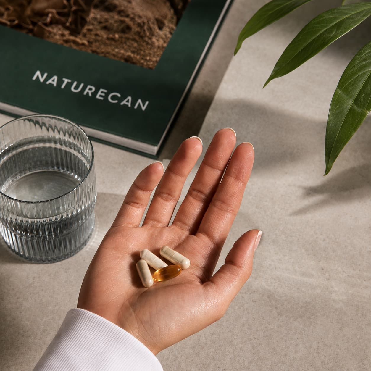 Lot de compléments alimentaires pour le syndrome prémenstruel capsules