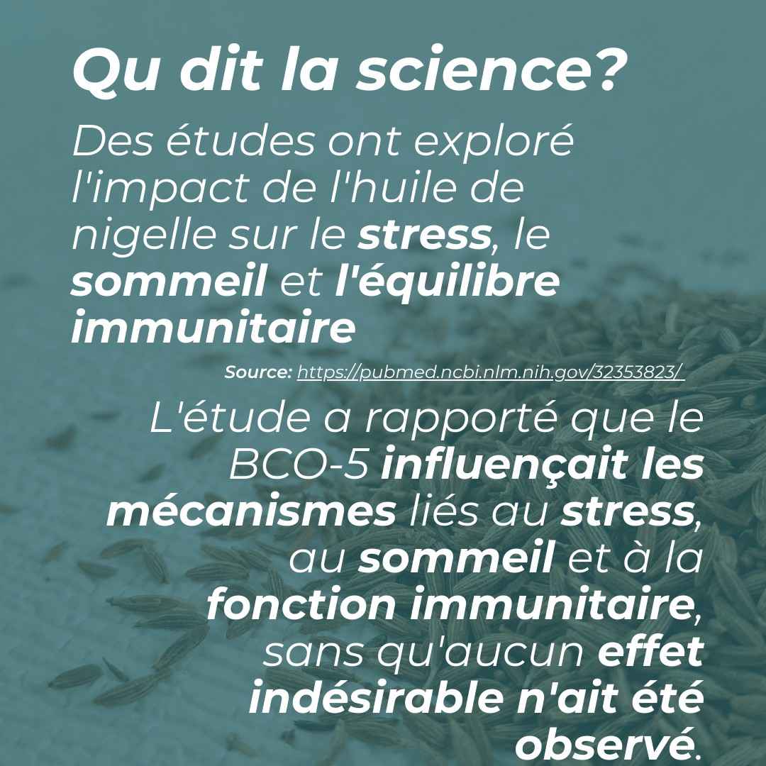 l'huile de nigelle gélules_5