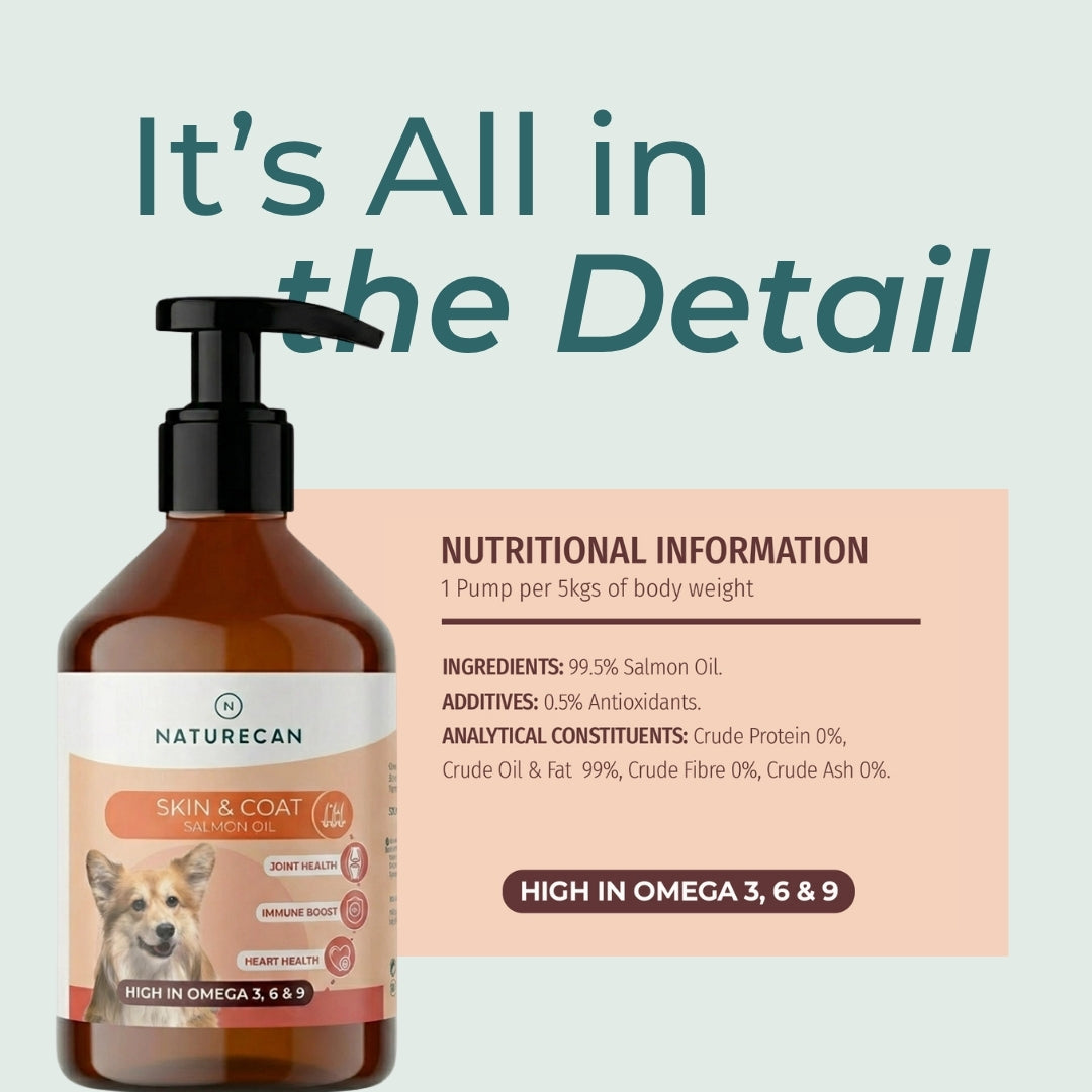 Is Salmon Oil Good For Dogs?