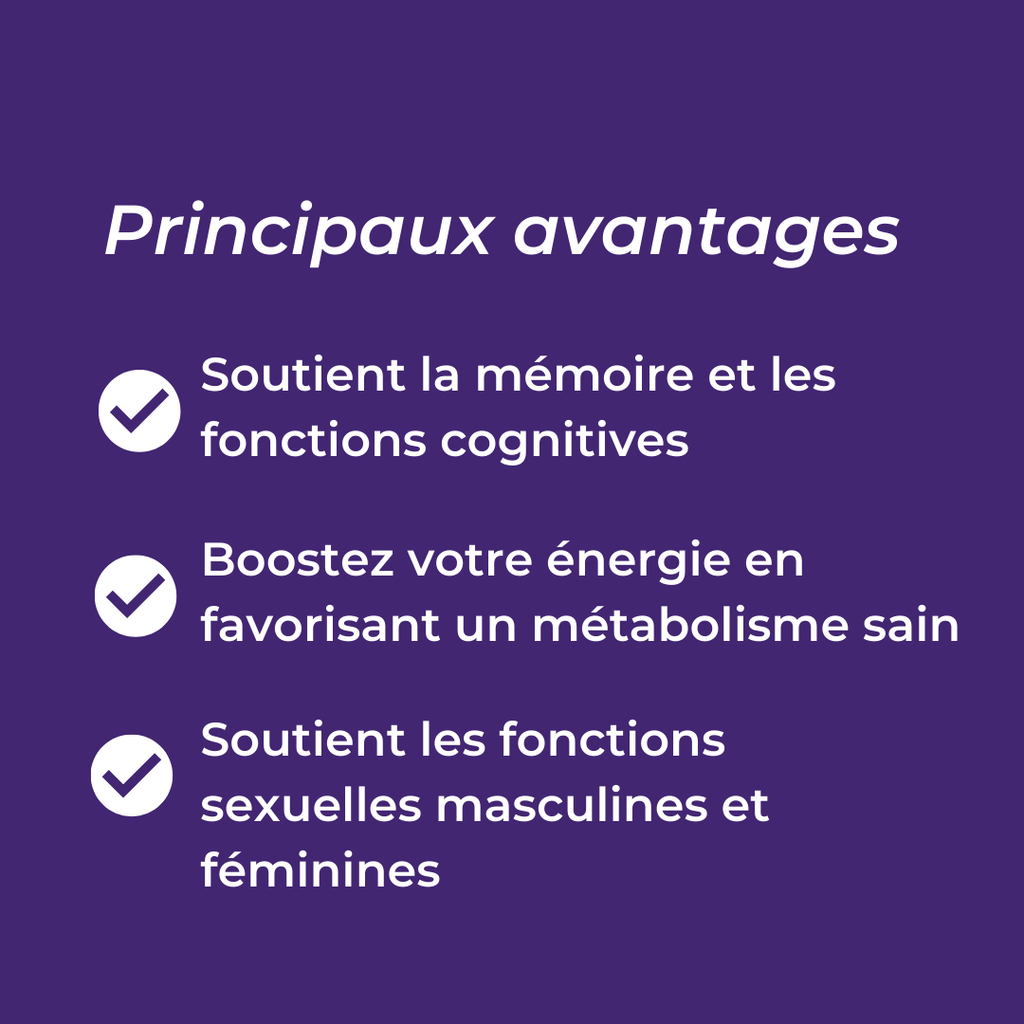 Principaux avantages du Shilajit