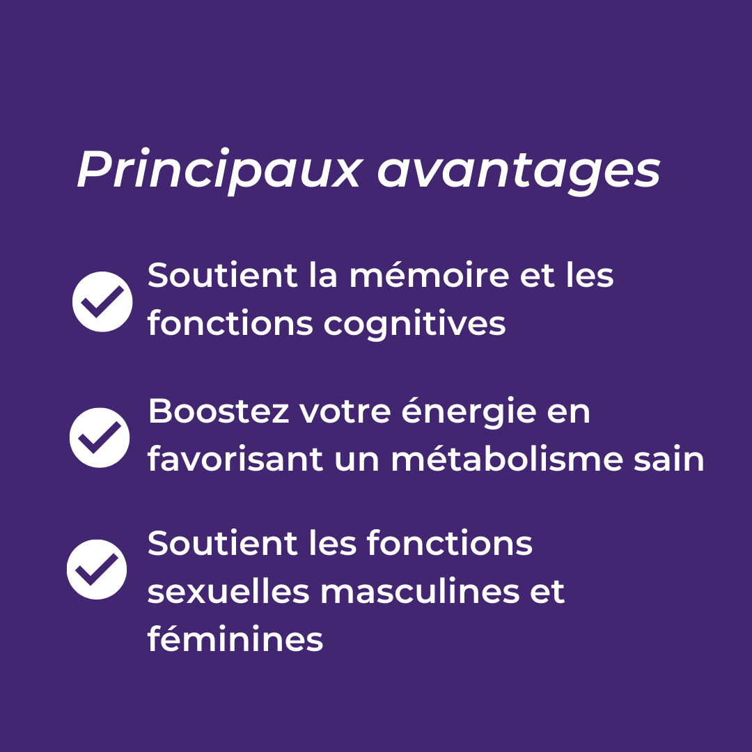 Principaux avantages du Shilajit