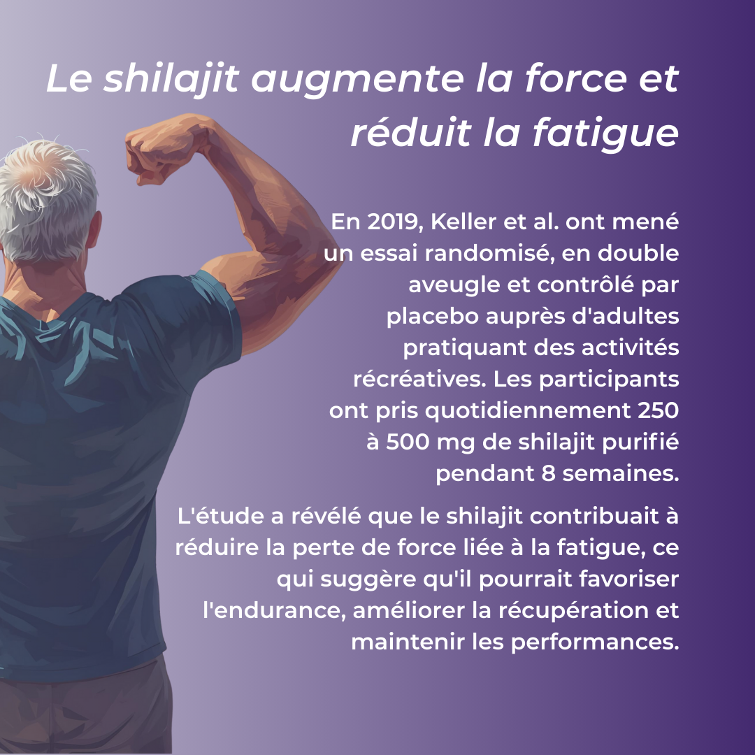 La shilajit augmente la force et réduit la fatigue