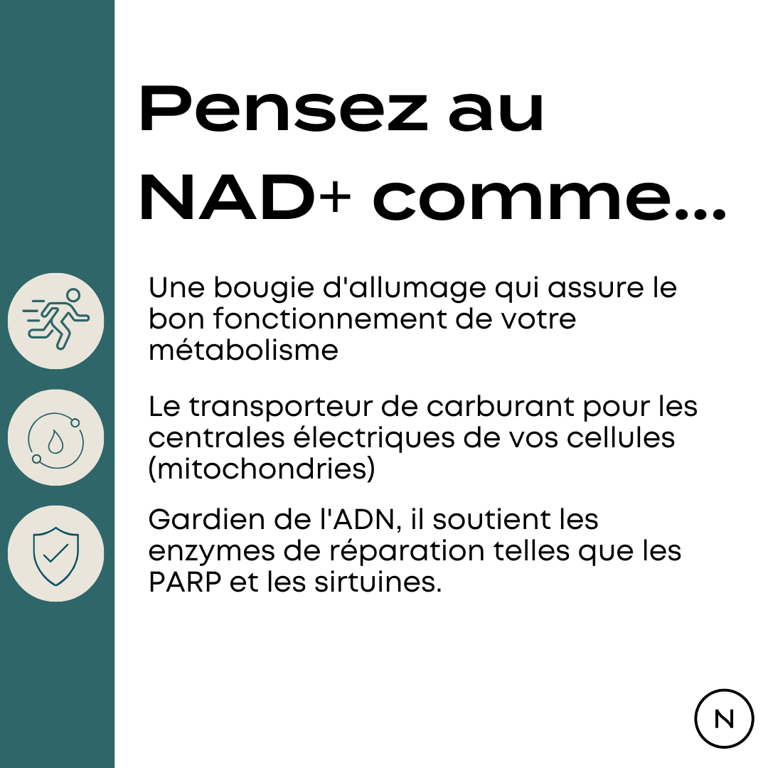 avantages du nr
