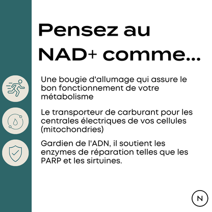 avantages du nr