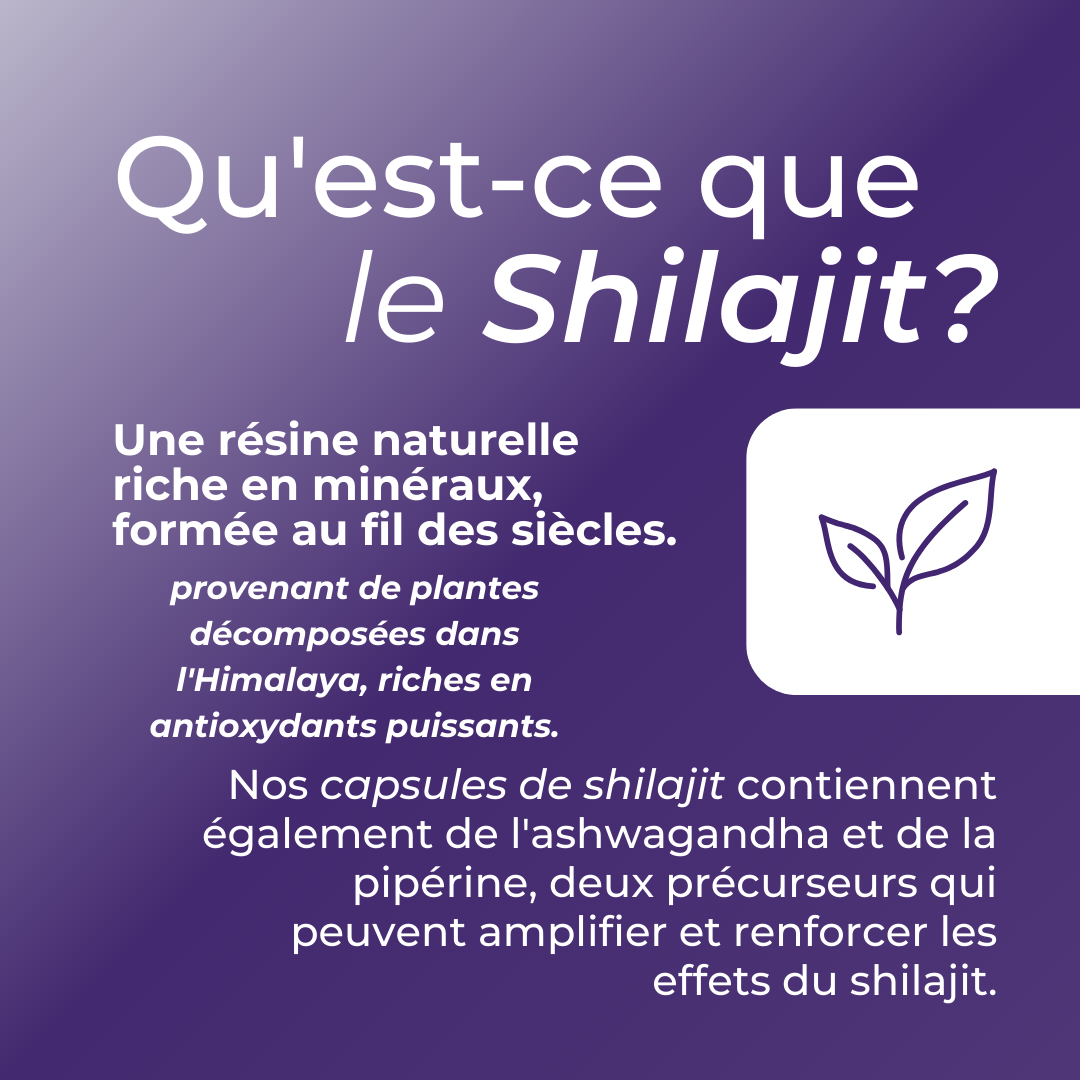 Qu'est ce que le Shilajit?