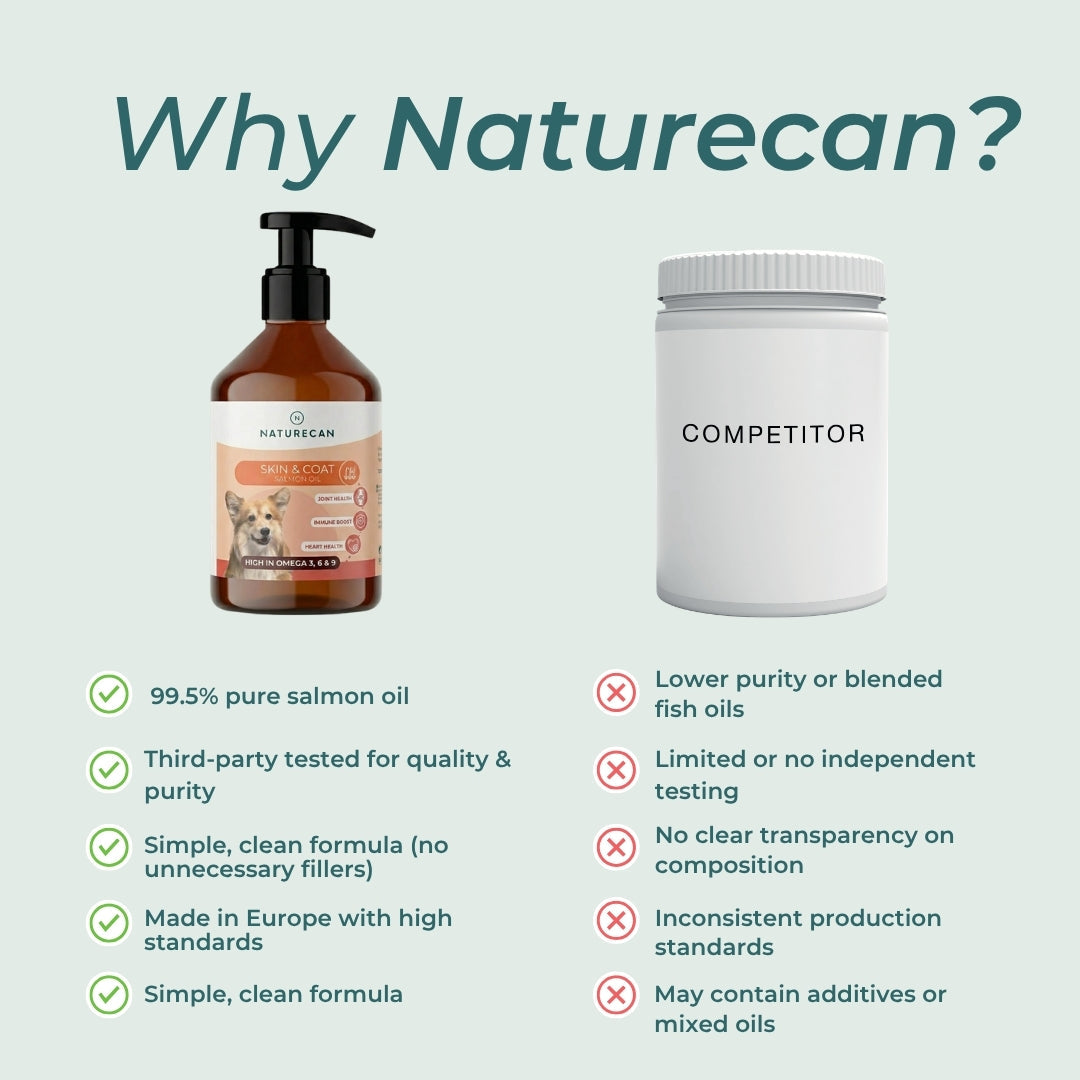 supplements for dogs