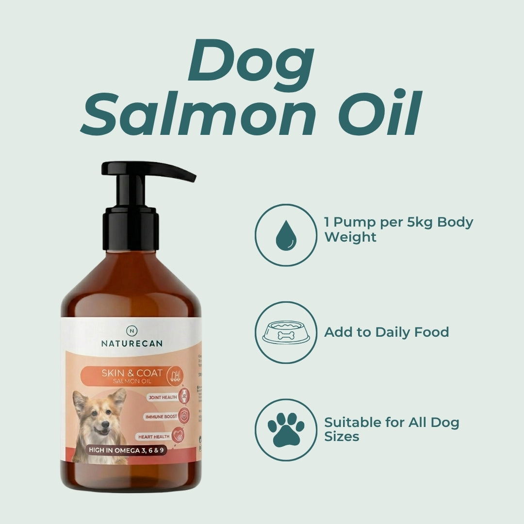 Huile de Saumon Pour Chiens