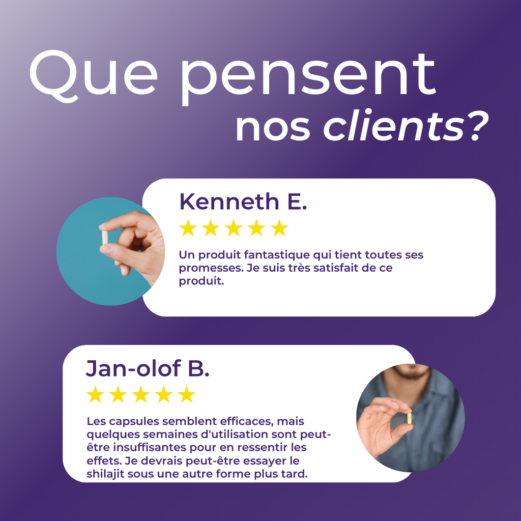 Avis clients